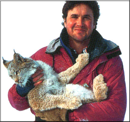 wildlife artists,wildlife art,BAS,art of bas,oil painting,wildlife art,lynx,big cat,canada